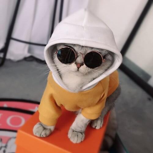 New Arrive Pet Dog Hoodies Clothes Fleece Sweatshirt For Small Dogs Casual Puppy Cat Costumes French Bulldog Bichon Clothing
