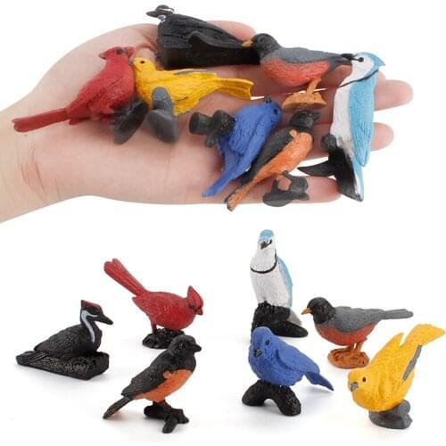 7pcs/set Small Size Birds Animal Figure Collectible Toys Birds Animal Cognition Action Figures Kids Plastic Toys