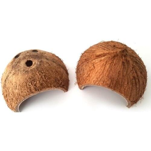 Cute Natural Coconut Shell Hiding House Cave for Reptile Little Pet reptile decor egyptian decor
