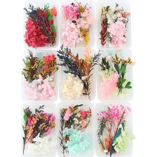 Real Dried Flowers Leaves Set for DIY Crafts Art Mixed Multiple Dry Flower for Candle Resin Jewelry Pendant Decorations LBS