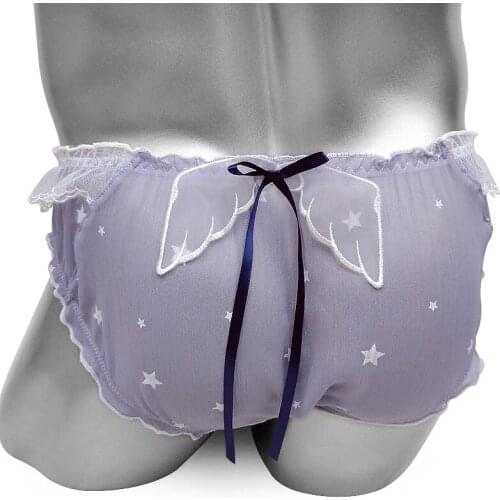 Sissy Sexy Lingerie With Wing Bowknot Transparent Mens Underwear Ruffles Crossdressing Panties Funny Gay Male Underpants