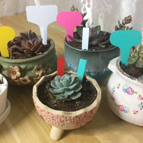 50Pcs Colorful Reusable Plant Markers Flower Nursery Plastic Labels For Succulent Seedings Tags Garden Accessaries Supplies
