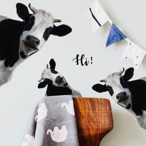 MAIGEENIFA Decorative Wall Stickers