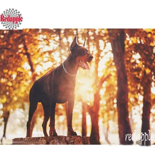 5D,diy,diamond painting,Doberman Pinscher Cross Stitch Kits Handmade,3d,Diamond Embroidery dog Pattern Rhinestone painting decor