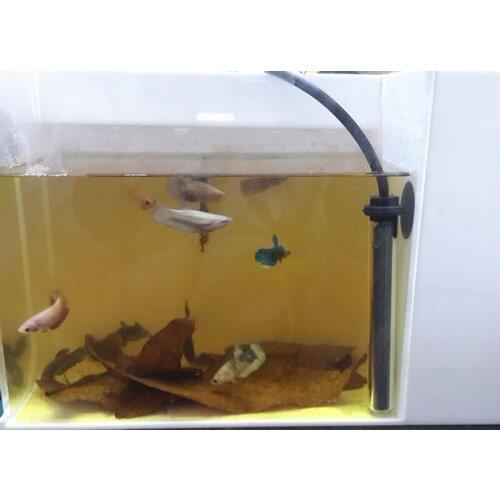 11cm Long Automatic Thermostat Adjustable 60/100W Mini-heater Aquariums Accessories Submersible Heater Heating Rod For Fish Tank