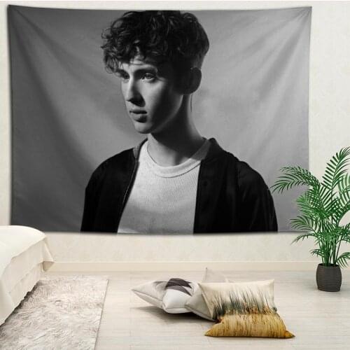 Custom Troye Sivan printed Creative tapestry living room bedroom background wall fabric hanging painting small fresh