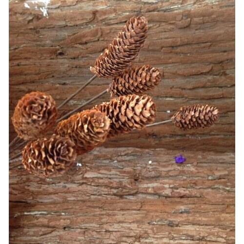 10pcs Natural Dried Scale Pine Cone Pinecone with Iron Wire Wedding Party Home Hotel Decoration DIY Bouquet Project Accessory