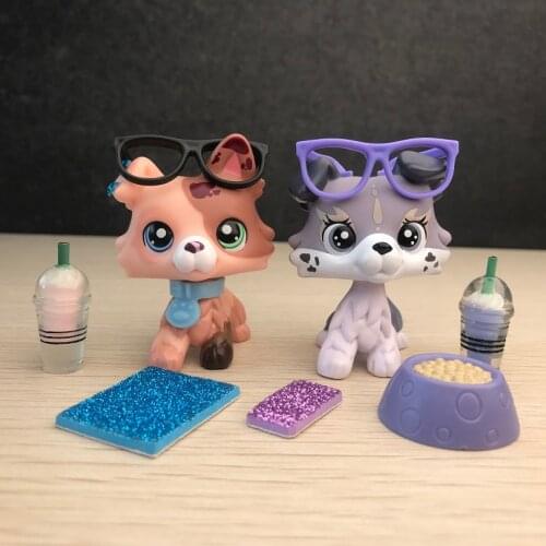 Pet Shop Littlest Collie Dog Puppy With Green Blue Eyes with 9cs Accessories