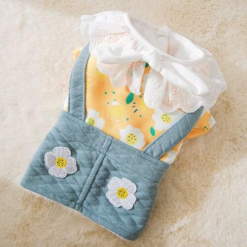 Cat Small Dog Dress Winter Pet Cute Lace Clothes Dresses Dog Skirt Chihuahua Yorkshire Shih Tzu Maltese Pomeranian Poodle Suit