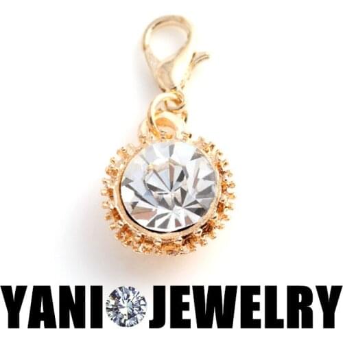 20pcs/lot Free Shipping Acrylic Crystal Beads Charm Pendants Lobster Clasp Charms For Floating Locket