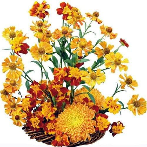 100% Full 5D Diy Daimond Painting Chrysanthemum 3D Diamond Painting Round&Square Rhinestones Diamant Painting Embroidery Gifts