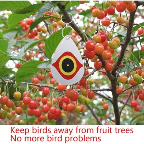 JETTING Pest Control Products