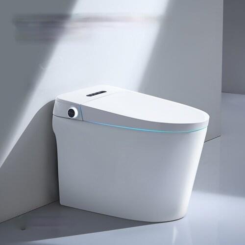 TT Integrated Smart Toilet Small Automatic Waterless Pressure Limit Household Electric Toilet