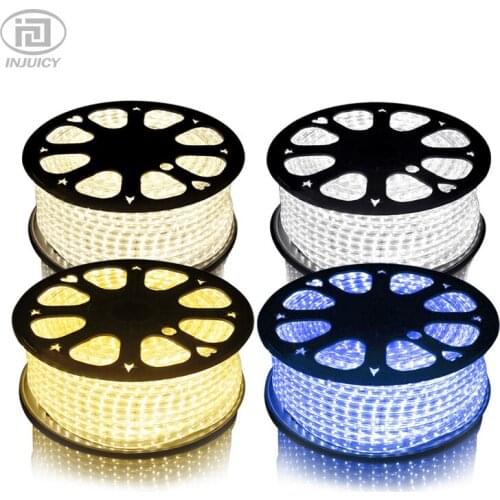 Super Bright 3528 LED Strip Light High Voltage Tube Waterproof Flexible SMD LED Strip 60leds/Meter Warm White/White AC220V