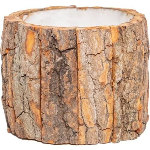 Small Flower Pots With Bark For Succulents Plant Natural Wooden Outdoor Decoration House Home Flowerpot Ornaments Tree Stump