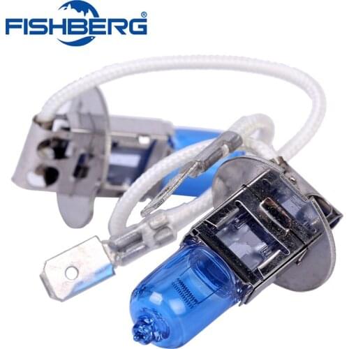FISHBERG Xenon Bulbs H3 (PK22s)