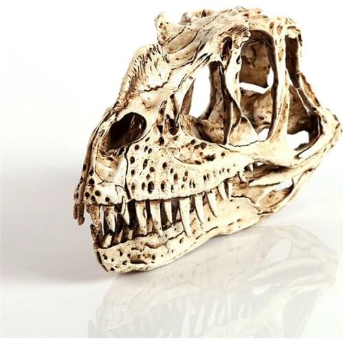 Ceratosaurus Skull Fossil Dinosaur Model Animal Figure Collector Toys Xmas Gift Skull Fossil Teaching Skeleton Model Home Decor