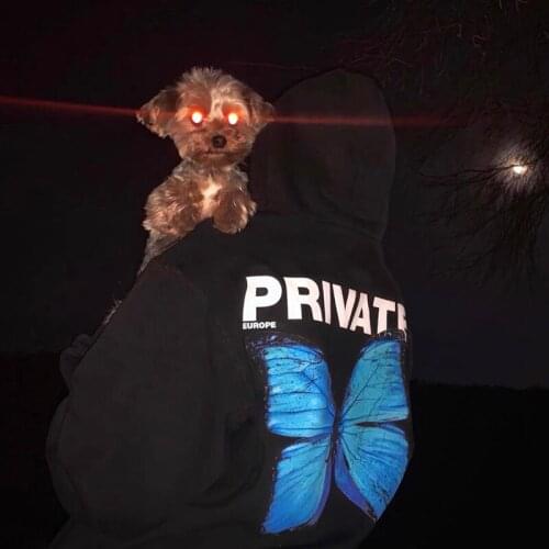 Harajuku Streetwear Hip Hop Punk Private Butterfly Goth Graphic Hoodie Sweatshirt Vintage Punk Casual Loose Hooded Pullover Tops