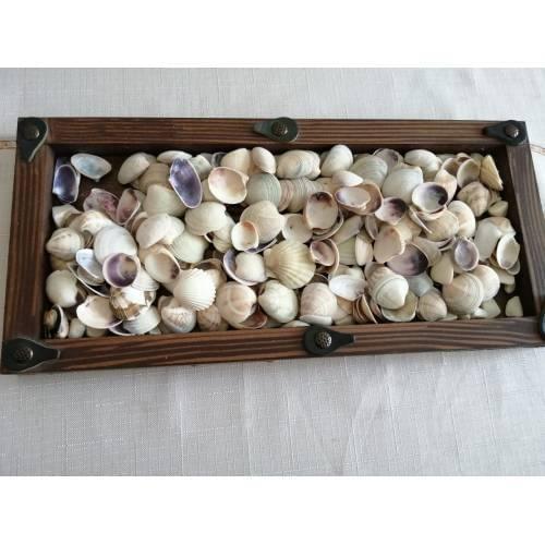 Sea Peel--1 KG -KENDİMİZ SAHİLDEN COLLECT