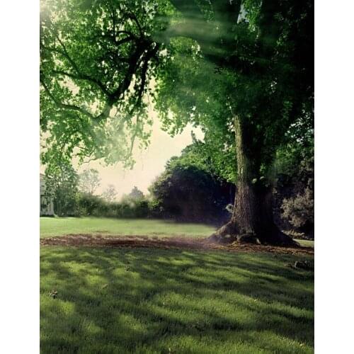VinylBDS 6.5X10FT Forest Spring Photography Backdrop Outdoor Wedding Backgrounds For Photo Studio