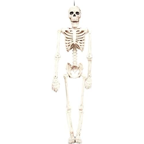 40cm Halloween Skeleton Toy Skeleton Full Body Halloween Skeleton With Movable Joints Halloween Horror Party Toys