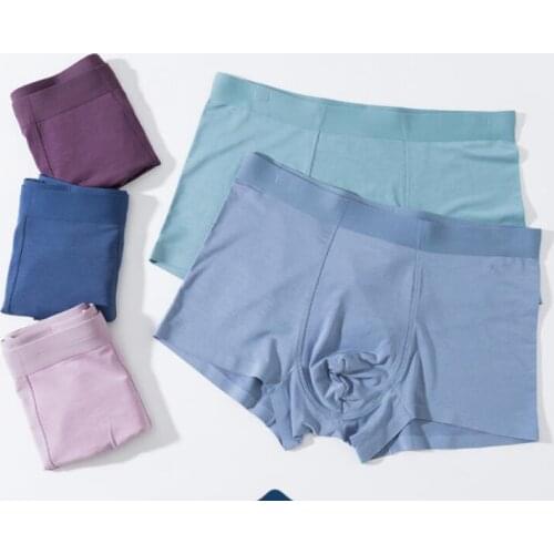 2021 boxer mens underwear men cotton underpants male pure men panties shorts underwear boxer