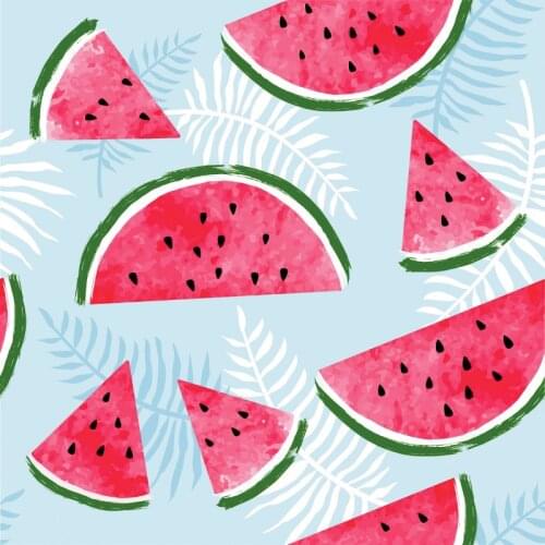 Happy Birthday Watermelon and Lake Blue Backdrop Holiday Photography Background Celebration Photo Booth Studio Decor