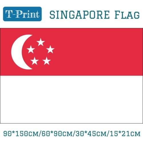 15*21cm 90*150cm 60*90cm 30*45cm Car Flag Hanging Flag Singapore National Flag