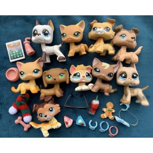 Pets 5pcs Random Short Hair Cat Dacnshund Collie Great Dane with Random 7pcs Accessories Glasses Drinks Kids Gift