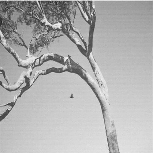 3d wallpapers Abstract forest wallpapers TV background wall decoration painting beautiful scenery wallpapers