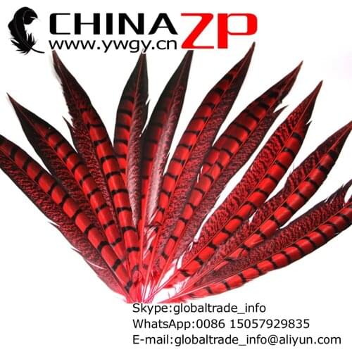 CHINAZP Factory Cheap Wholesale 100pcs/lot 30-35CM Dyed Red Lady Amherst Pheasant Feathers