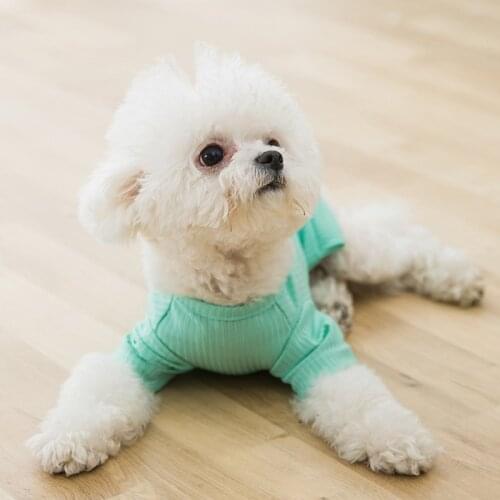 Spring and Summer Marca Dragon Color Pet Clothes Breathable T-shirt Cat Small Dogs Thin Cat Products Accessories Cats Clothing