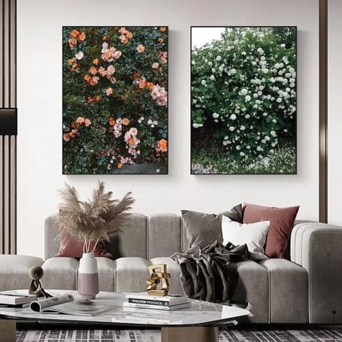 Pink Red White Rose Flower Plant Canvas Painting Botanical Floral Poster Art Print Nordic Wall Picture Living Room Decoration