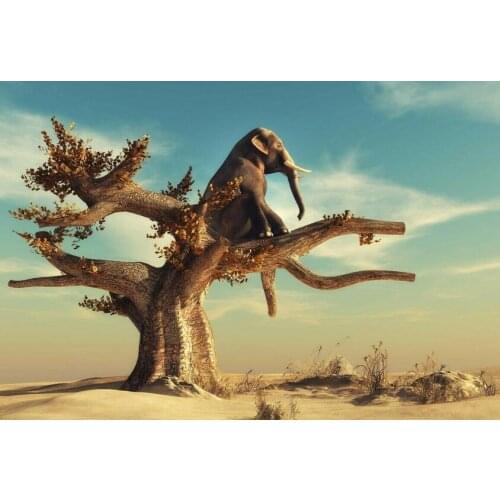 Elephant sitting in a tree picture Art Film Print Silk Poster for Your Home Wall Decor 24x36inch