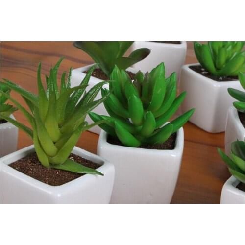 ANGRLY 2pcs Furnishing decorative activities Succulent plants Ornamental plant bonsai Vehicle Simulation pot wedding decoration