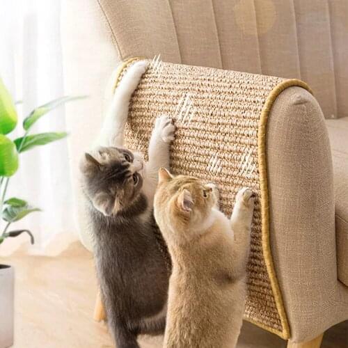 UNIQUEFORYOU Pet Supplies