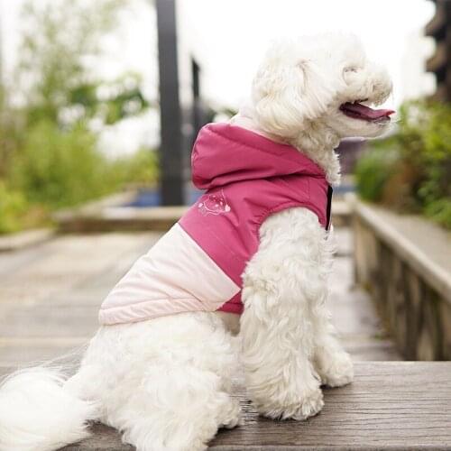 Pet Dog Vest Coat Winter French Bulldog Jacket Designer Warm Pug Clothes Cute Print Schnauzer Chihuahua Yorkie Frenchie Costume