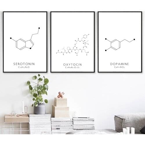Oxytocin & Dopamine Line Drawing Poster Molecule Serotonin Wall Art Canvas Painting Chemistry Science Picture No Frame