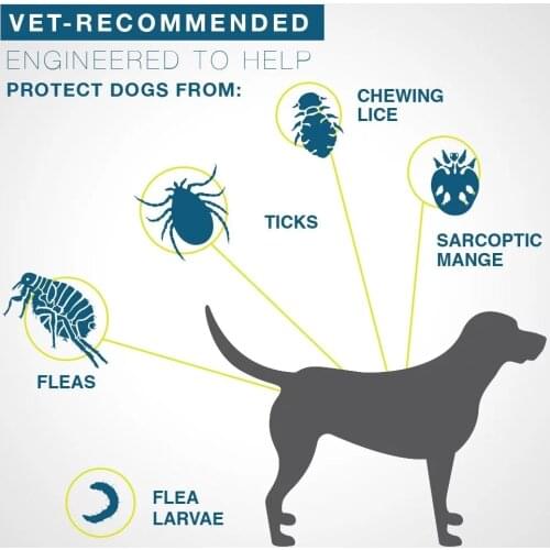Removes Flea and Tick Collar Dogs Cats Up To 8 Month Flea Tick Collar Anti-mosquito and Insect Repellent for Cats
