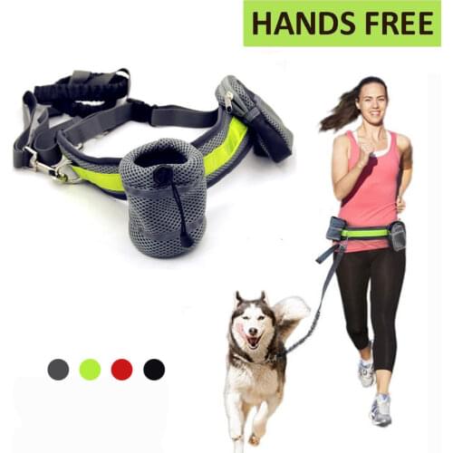 Hands Free Pet Dog Cat Running Jogging Padded Waist Belt Reflective Strip Elastic Leash Walking Training Dog Glowing Leash Set