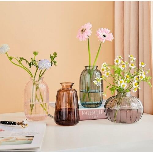 Nordic Creative Glass Vase Modern Home Decor Transparent Glass Vases for Flower Arrangements Hydroponic Tabletop Vase Decoration