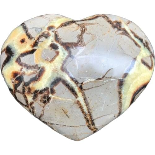 1pcs Natural turtle stone perfect carving heart type