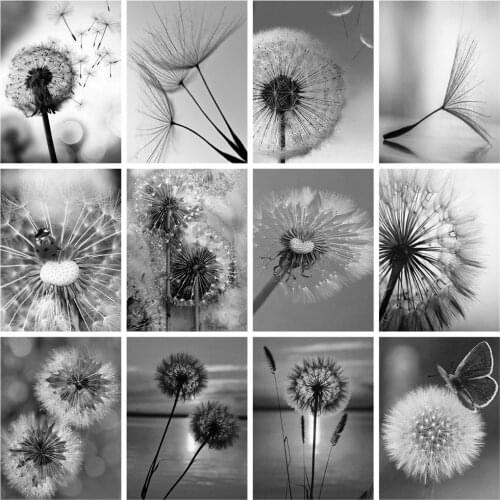 Huacan Diamond Embroidery Complete Kit Dandelion 5D DIY Diamond Painting Mosaic Black And White Flower Home Decoration