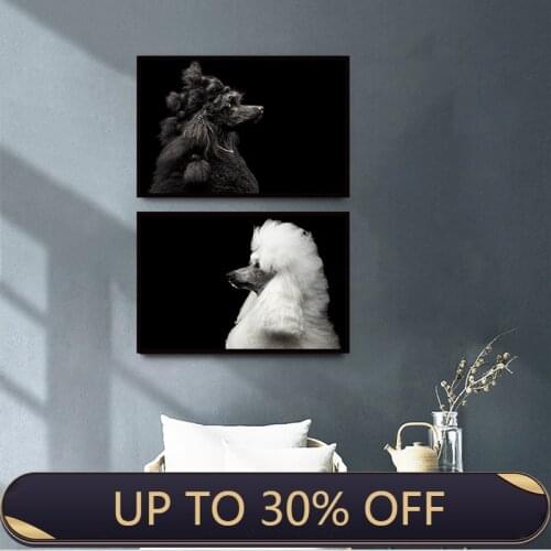 Poodle black and white wall art posters and prints pictures living room bedroom decoration home decoration canvas painting