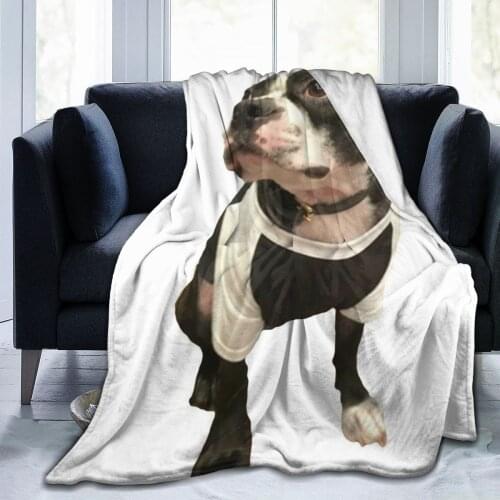 French Bulldog sofa bedroom warm blanket 3D printing blanket air conditioner quilt throw sheet adult home textile children gift
