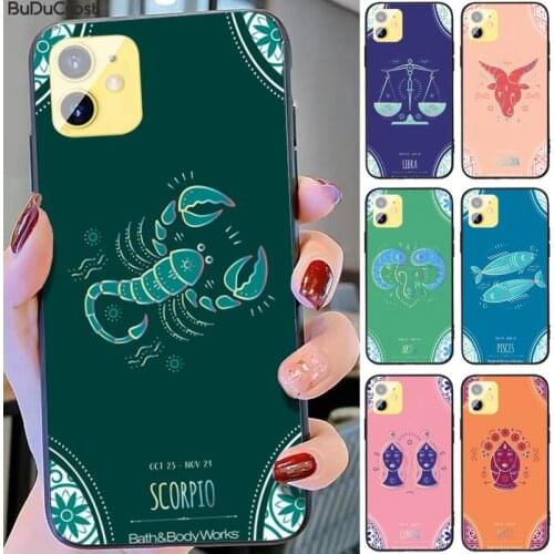 Riccu fashion Zodiac Sign Phone Case For iphone 11 12 Mini Pro Max X XS MAX 6 6s 7 8 Plus 5 5S 5SE XR SE2020