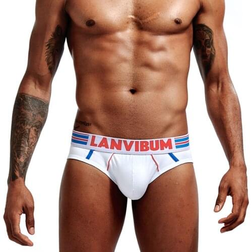 Brand Low Waist Sexy Men Underwear Briefs Gay Penis Pouch Wonderjock Men Bikini Brief panties Man Sleepwear Cotton