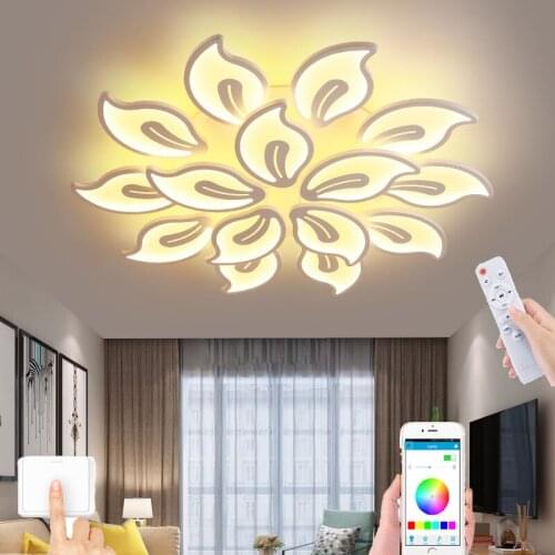 New smart remote control dimming chandelier Nordic indoor ceiling light living room bedroom hall LED light
