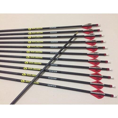 12pcs Archery carbon arrow spine300 ID6.2mm 2"plastic vane 100gr field point for compound bow hunting