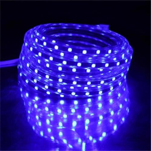 220V LED Strip Light 5050 LED Ribbon Waterproof IP67 Bright Than 5630 2835 3528 LED Tape White Warm White Red Green Blue